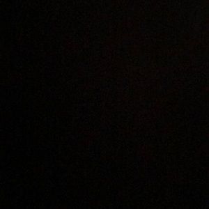 Meet your Posher, Lillie